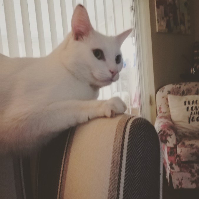 IMG_20200216_153441_740